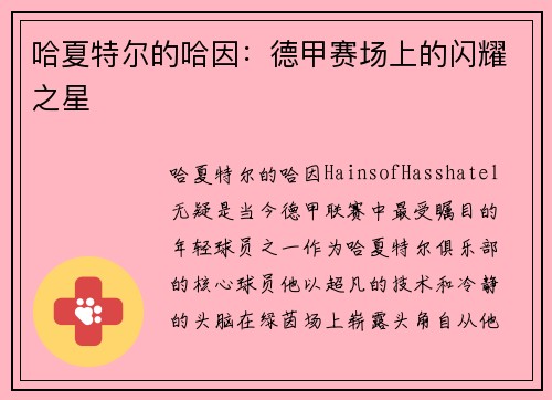 哈夏特尔的哈因：德甲赛场上的闪耀之星