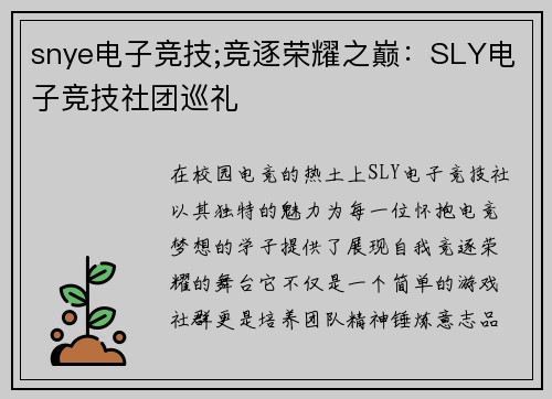 snye电子竞技;竞逐荣耀之巅：SLY电子竞技社团巡礼