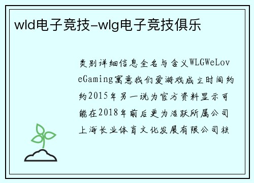 wld电子竞技-wlg电子竞技俱乐
